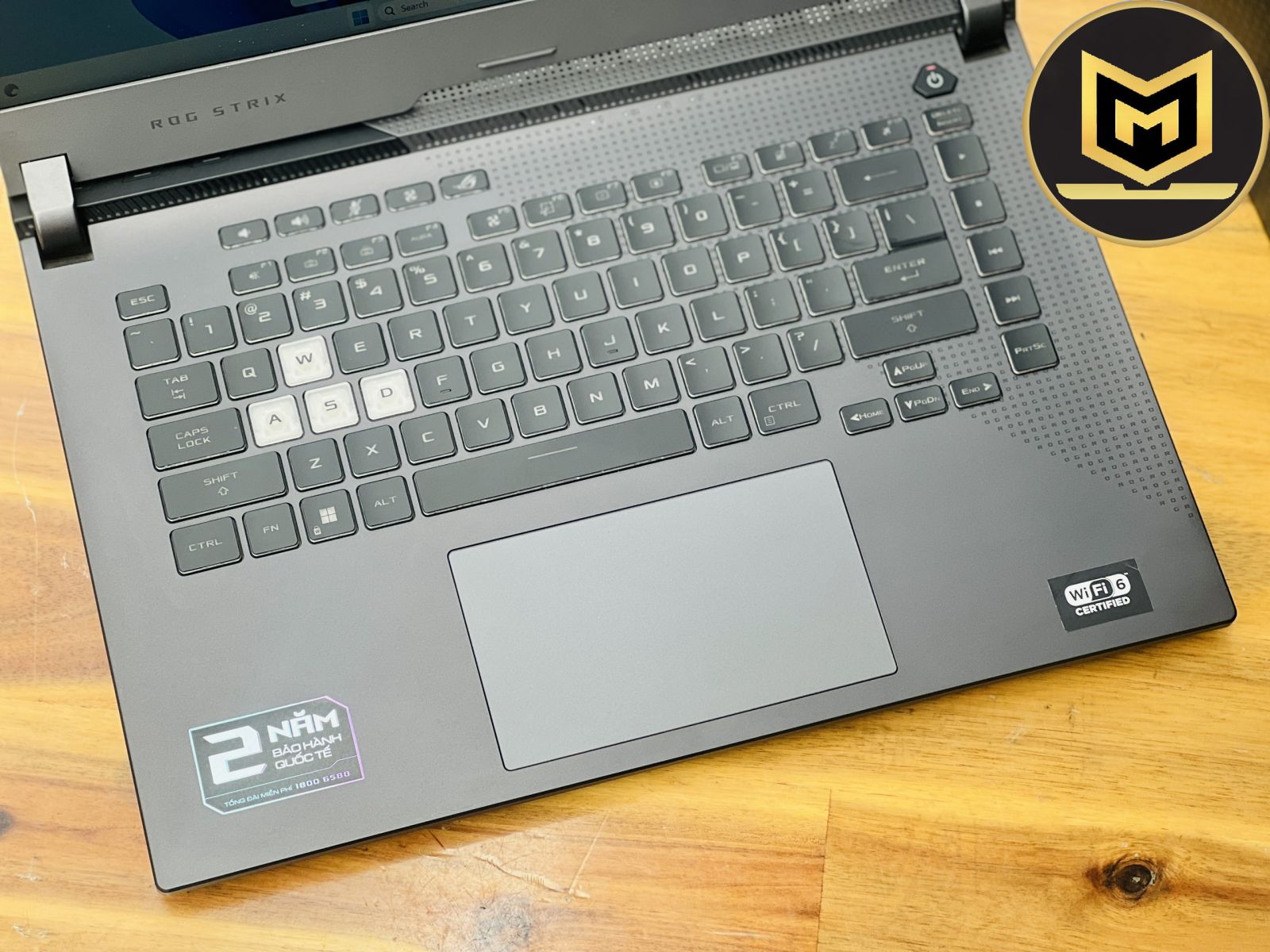 ASUS ROG STRIX G513IC R7 4800H