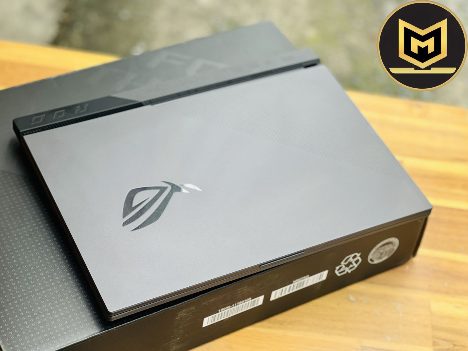 ASUS ROG STRIX G513IC R7 4800H