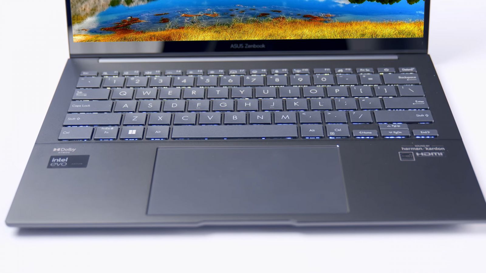 Asus Zenbook 14 Q415 2024