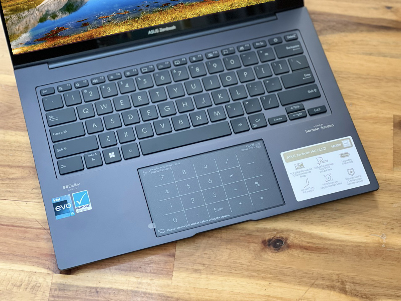 ASUS ZENBOOK 14 Q410 i5 13500H