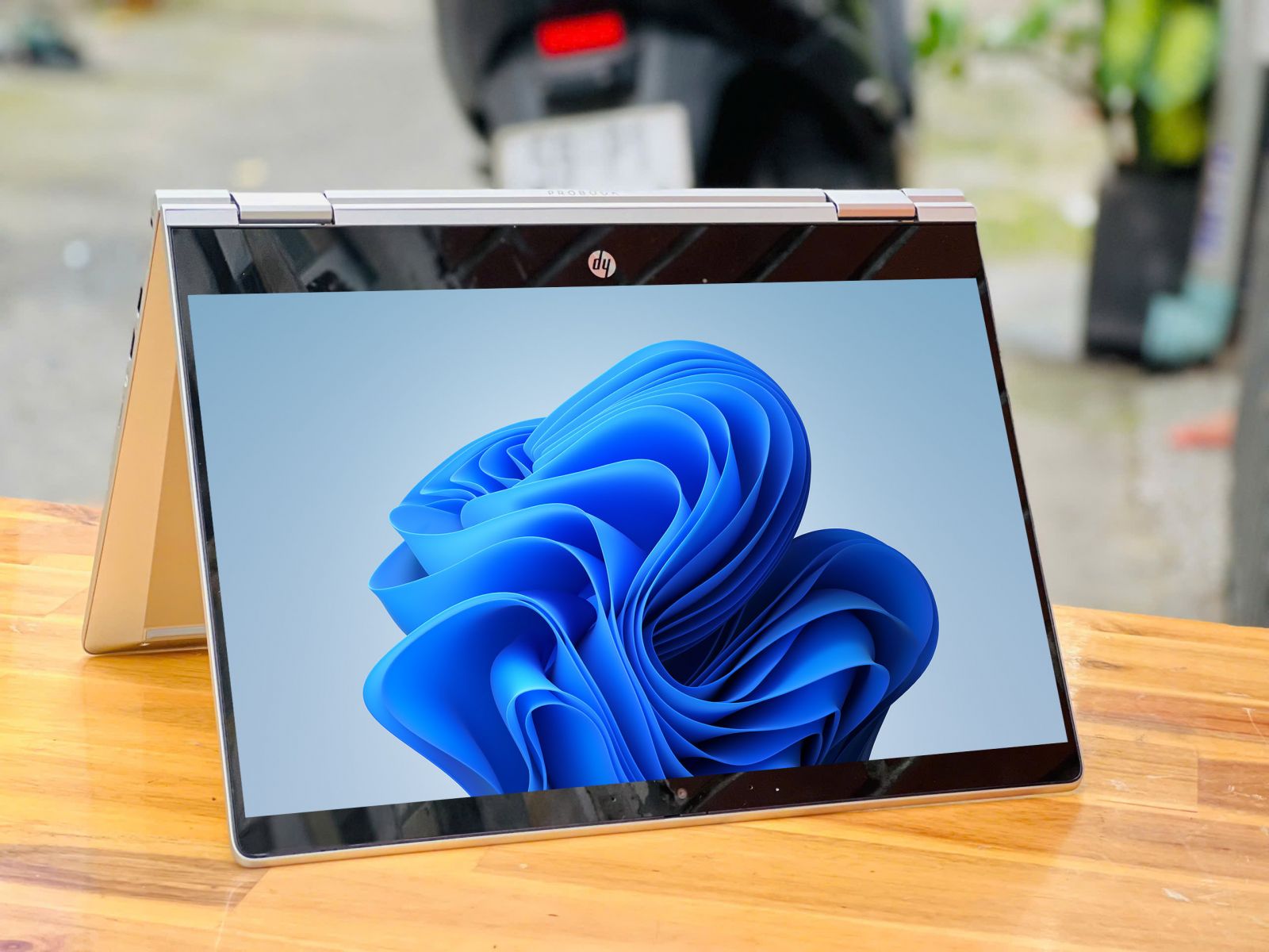 HP PROBOOK DƯỚI 15 TRIỆU ĐÁNG MUA 2025