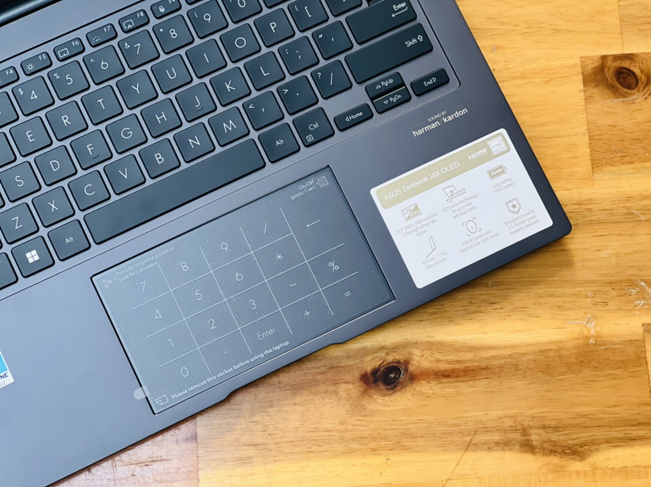 ASUS ZENBOOK 14 Q410 i5 13500H