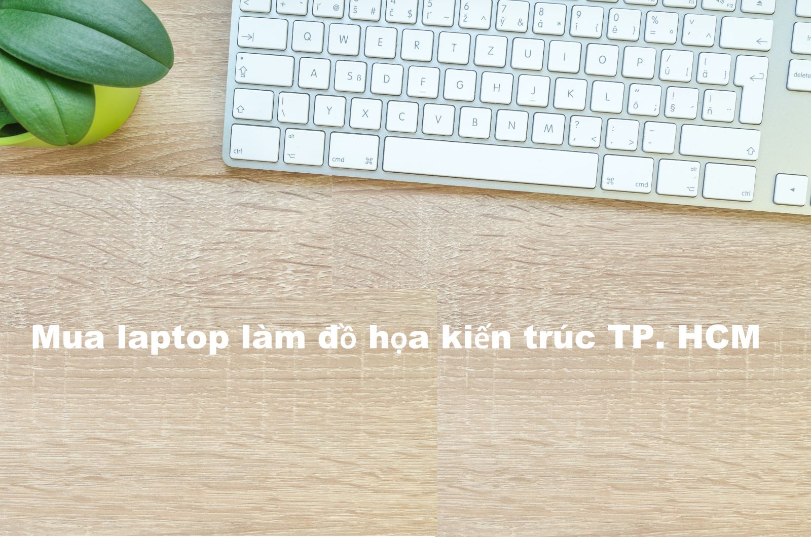 Mua laptop làm đồ họa kiến trúc TP. HCM