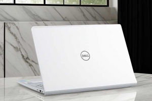 Dell Inspiron 5590 Core i5 10210U RAM 8GB SSD 256GB NVIDIA MX230 Màu Bạc Giá Rẻ